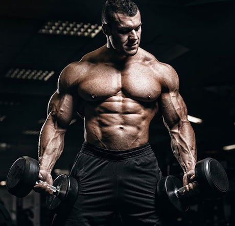 Bulking - sarmsuk